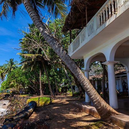 Palm Villa Mirissa Hotel&Spa Eksteriør bilde