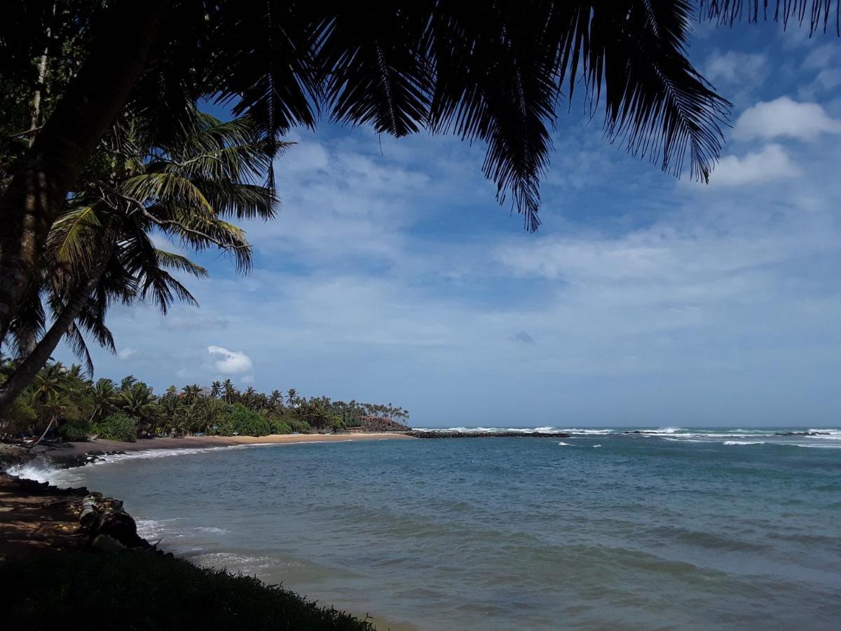 Palm Villa Mirissa Hotel&Spa Eksteriør bilde