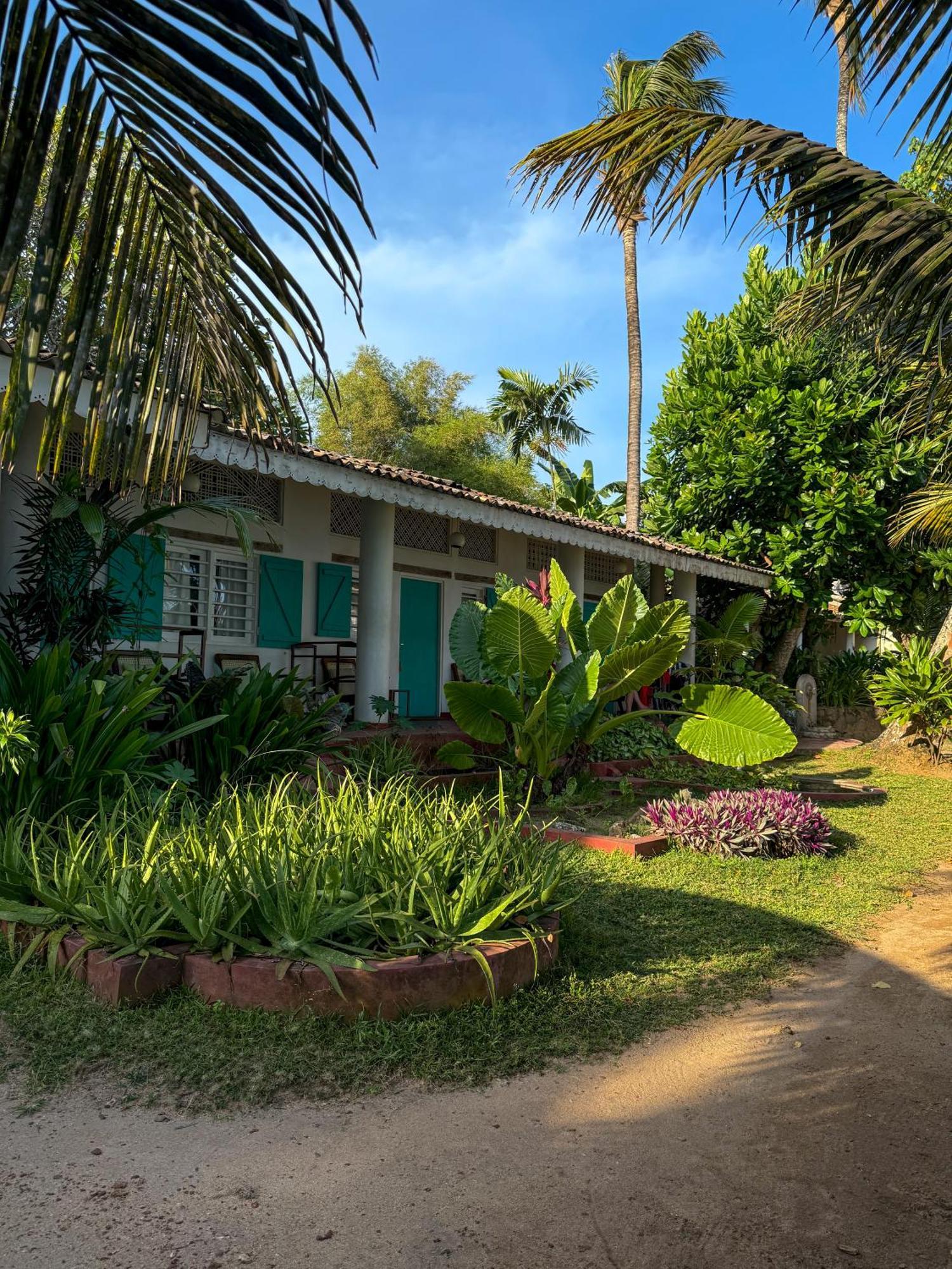 Palm Villa Mirissa Hotel&Spa Eksteriør bilde